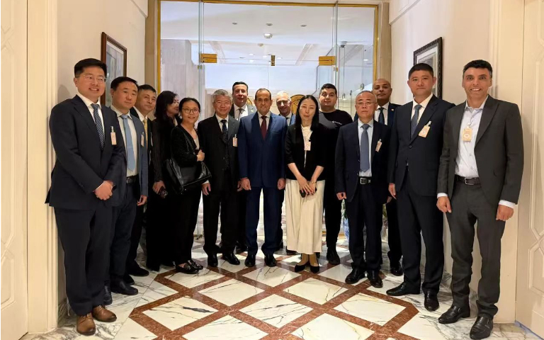 开元中国董事长朱康建随复旦大学代表团访问埃及